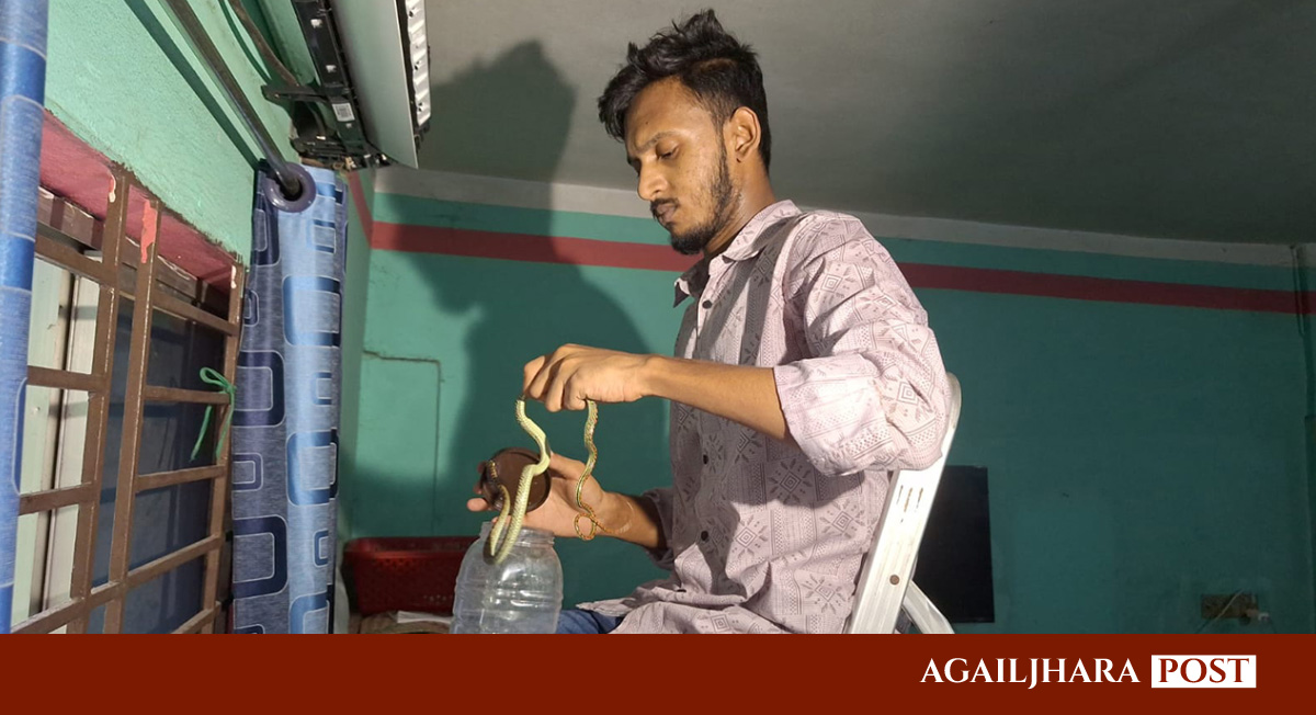 বরিশালে বেডরুমের এসি থেকে উদ্ধার হলো ৪টি কালনাগিনী সাপ